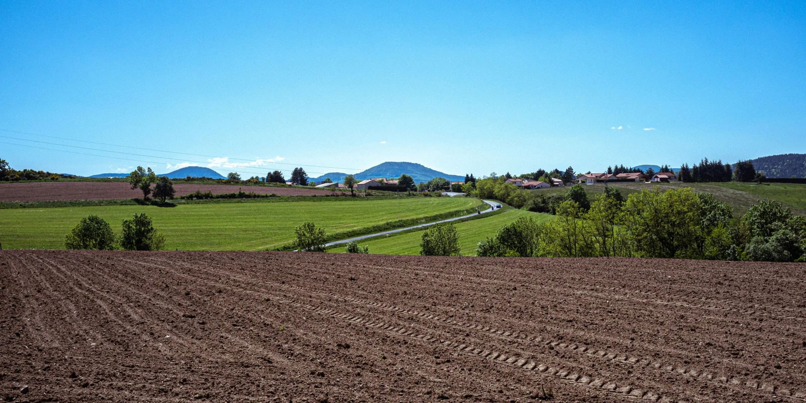Double Licence Musicologie et Sciences : Les Possibilités