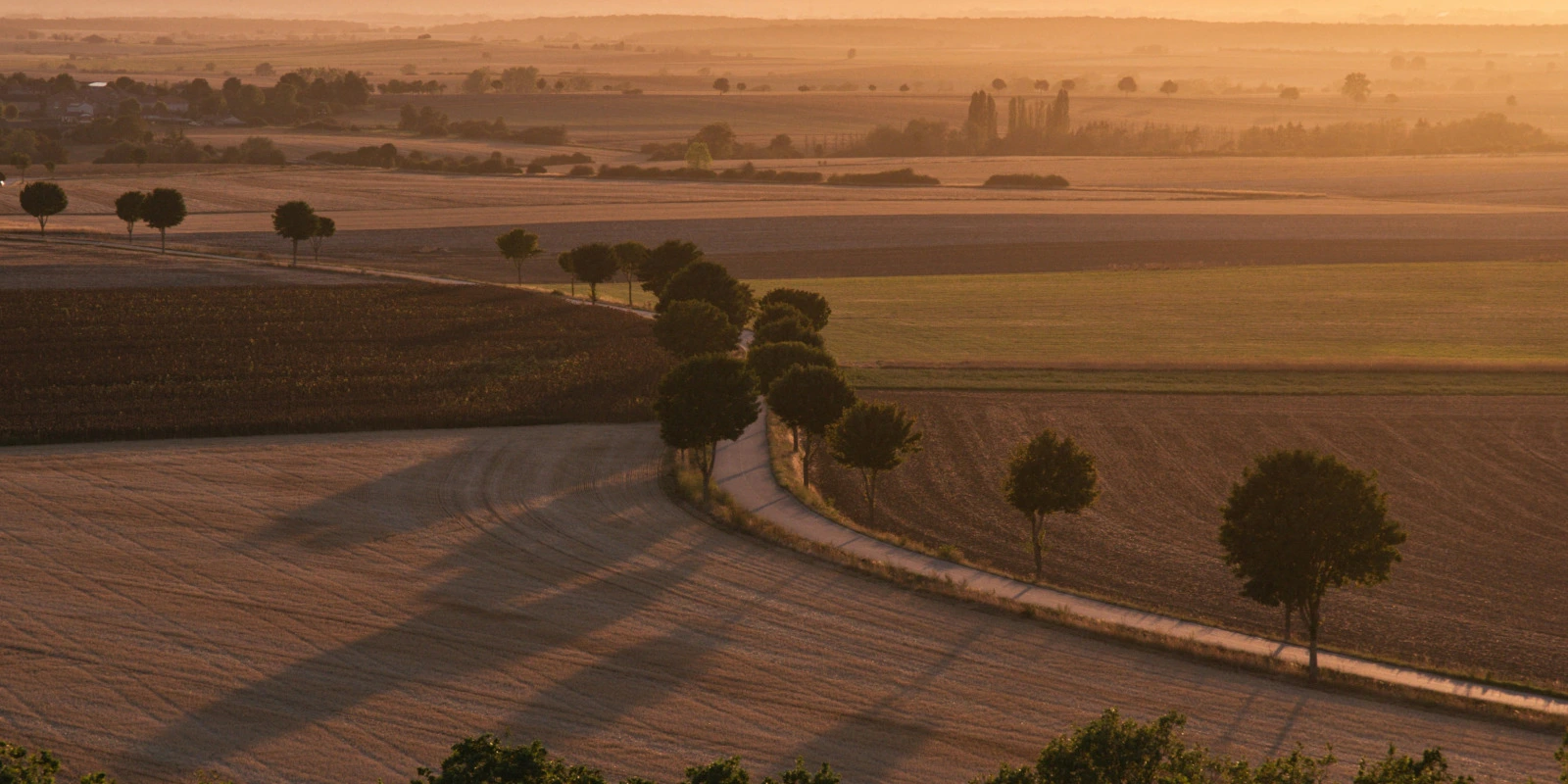 Licence Musicologie : Cours et Déroulement à Toulouse
