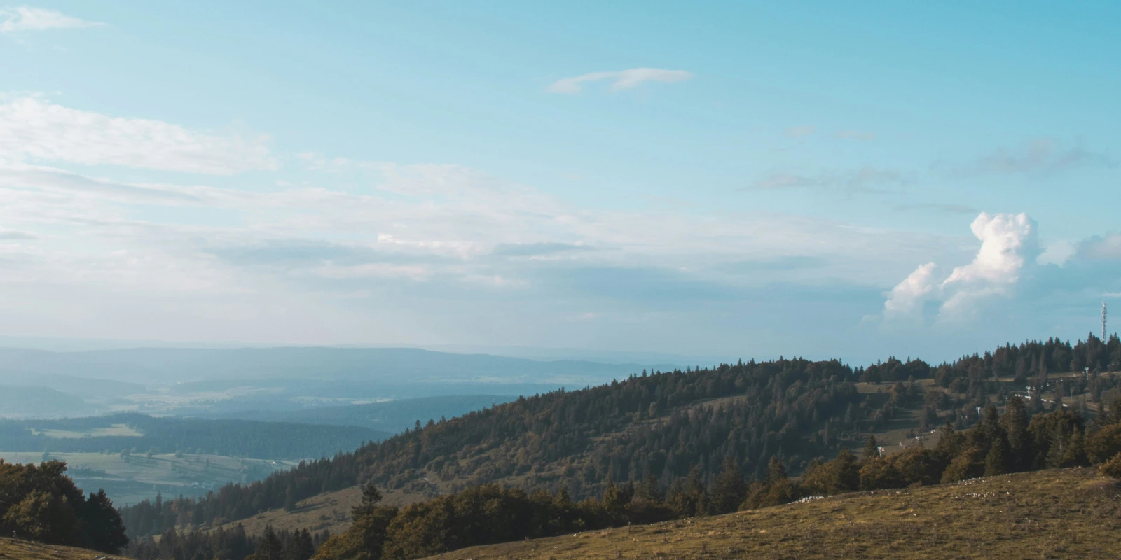 Pratique Instrumentale en Licence Musicologie : Développer ses Compétences