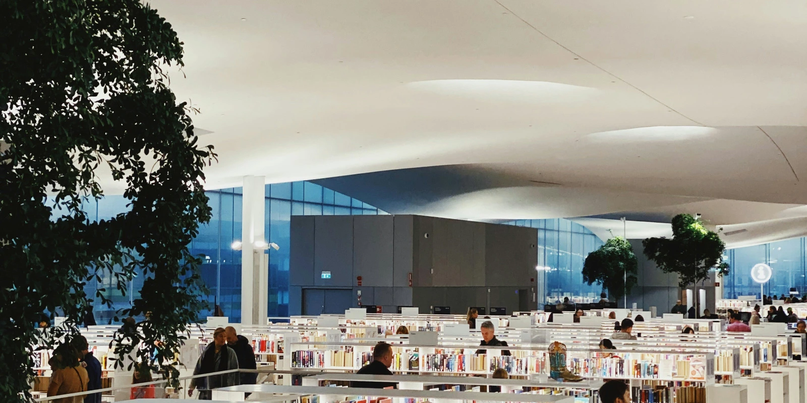 Programme et Contenu de la Licence Musicologie à Strasbourg