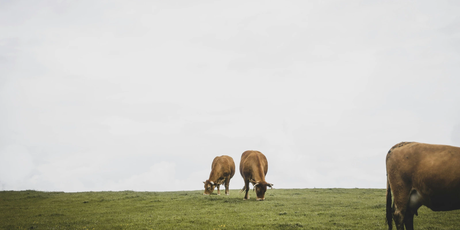 Que Faire Après une Licence Musicologie ? Que Faire Après une Licence Musicologie ?