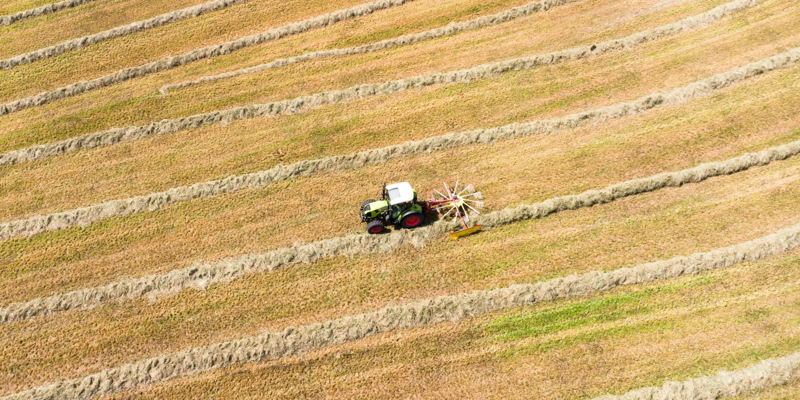 Techniques d'Enregistrement et de Production Musicale : Licence Musicologie